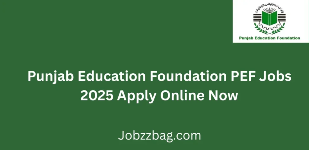 Punjab Education Foundation PEF Jobs 2025 Apply Online Now