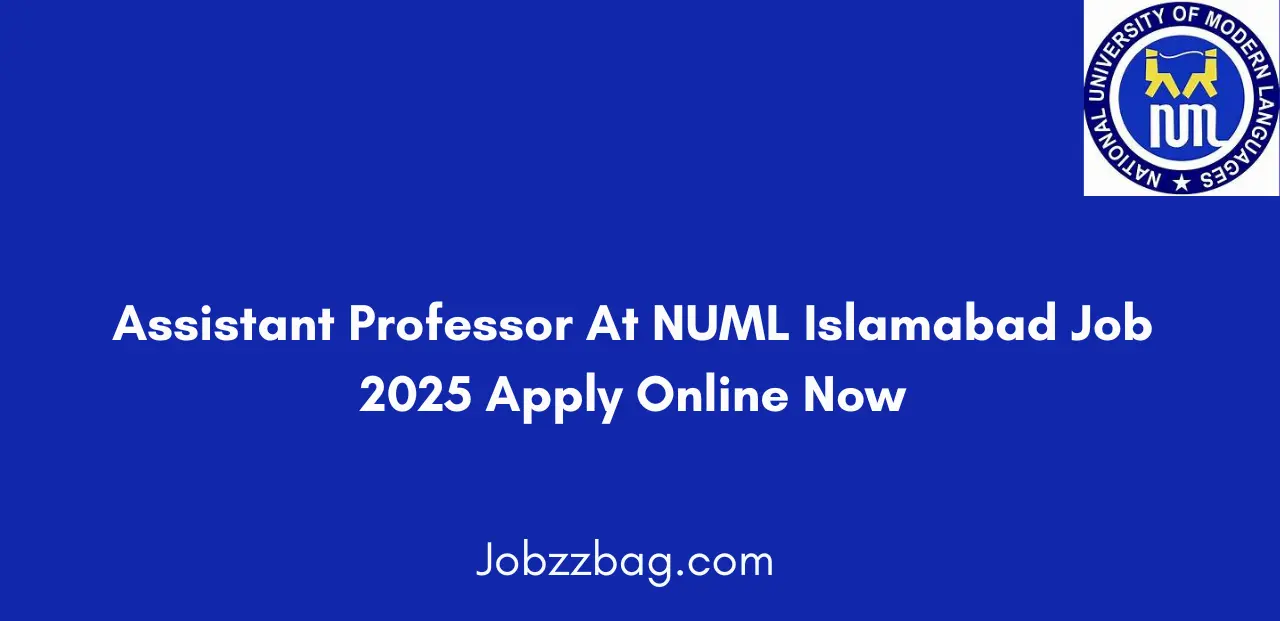 Assistant Professor At NUML Islamabad Job 2025 Apply Online Now